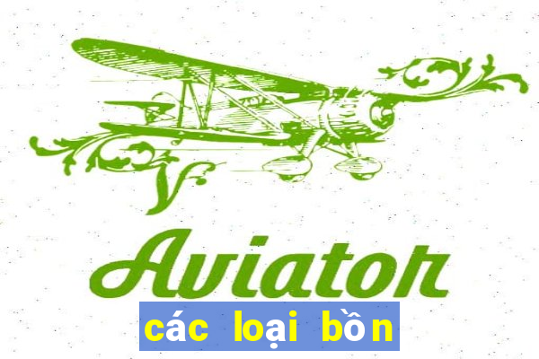 các loại bồn cầu bệt