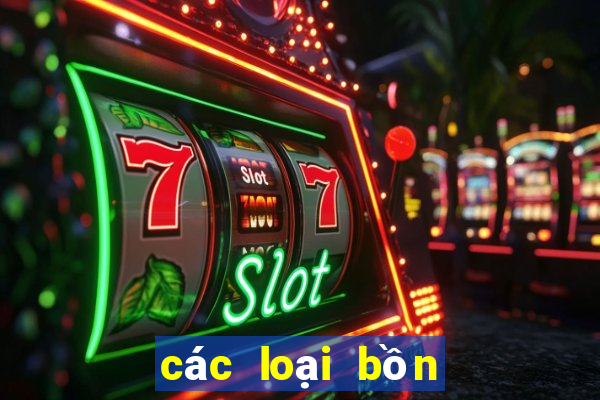 các loại bồn cầu bệt