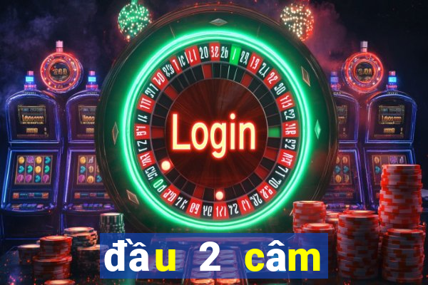 đầu 2 câm đánh con gì