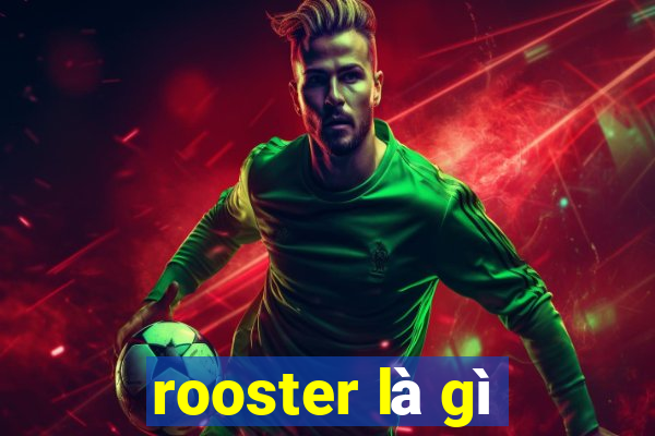 rooster là gì