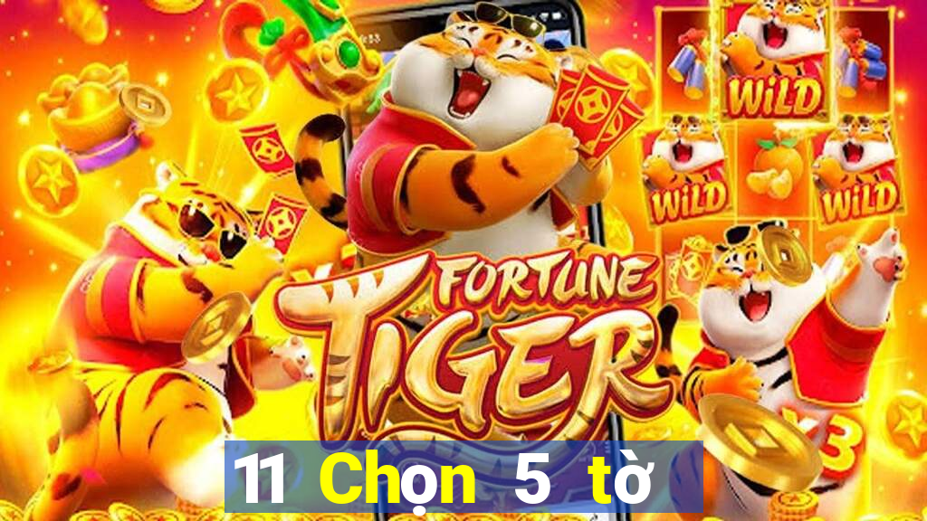 11 Chọn 5 tờ cuối cùng