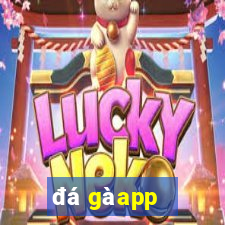 đá gà app