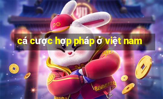 cá cược hợp pháp ở việt nam