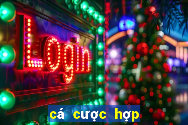 cá cược hợp pháp ở việt nam