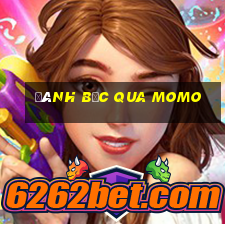 đánh bạc qua momo