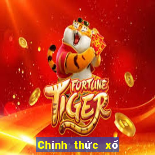 Chính thức xổ số việt nam lotto