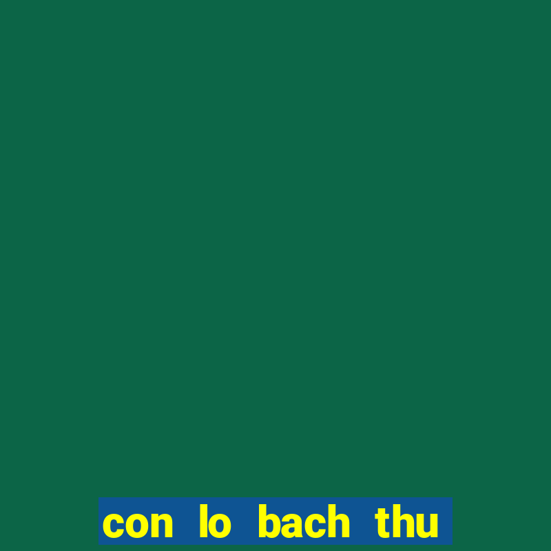 con lo bach thu hom nay