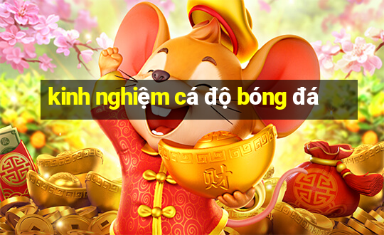 kinh nghiem ca do bong da