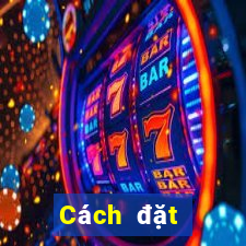 Cách đặt cược XSLD ngày 11