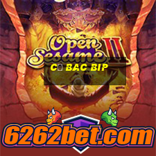 cơ bac bip