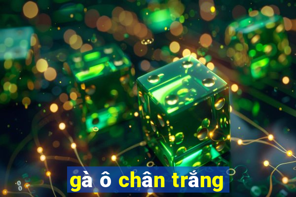 gà ô chân trắng