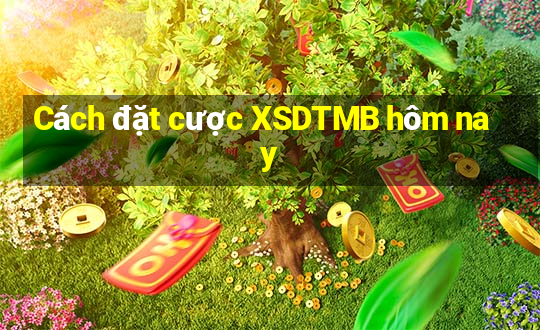 Cách đặt cược XSDTMB hôm nay