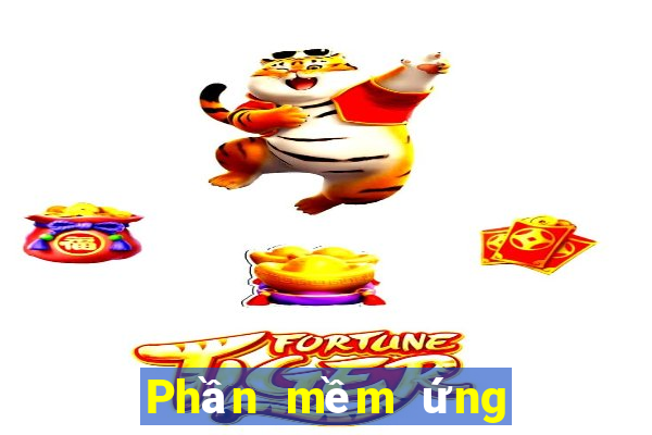 Phần mềm ứng dụng 95 màu