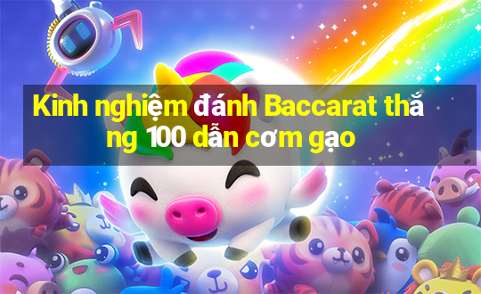 Kinh nghiệm đánh Baccarat thắng 100 dẫn cơm gạo