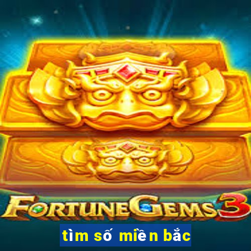 tìm số miền bắc