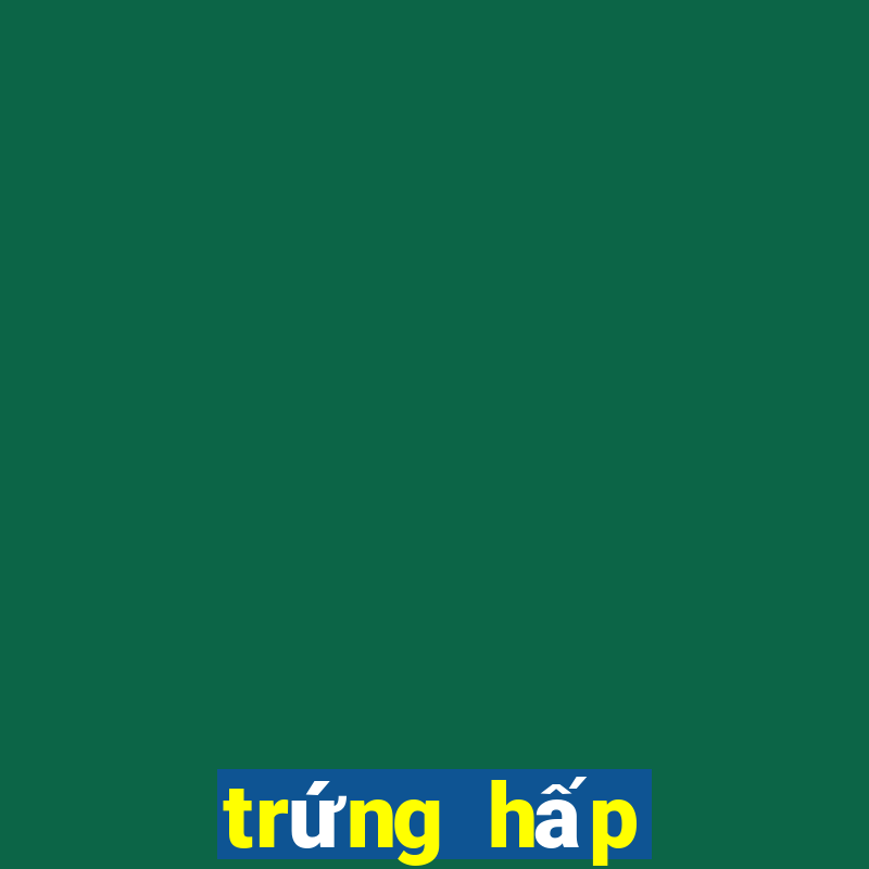 trứng hấp đậu hũ non