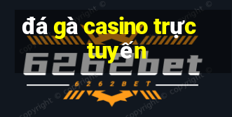 đá gà casino trực tuyến