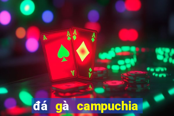 đá gà campuchia 2024 mới nhất