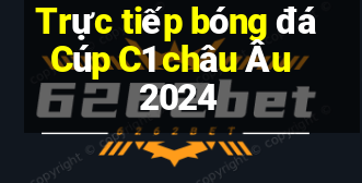 Trực tiếp bóng đá Cúp C1 châu Âu 2024