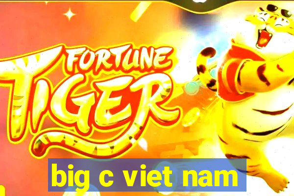 big c viet nam