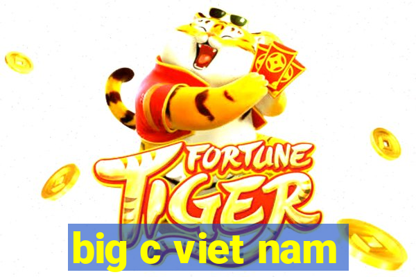 big c viet nam