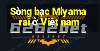 Sòng bạc Miyamarai ở Việt nam