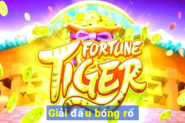 Giải đấu bóng rổ