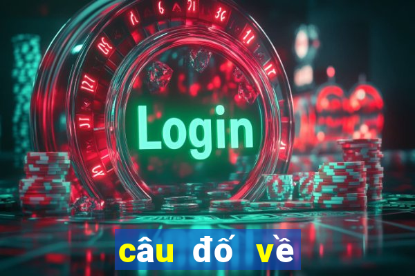 câu đố về lịch sử