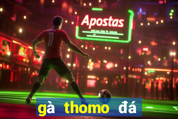 gà thomo đá trực tiếp