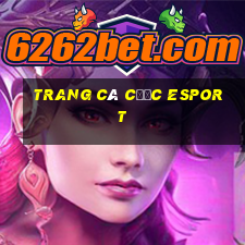 trang cá cược esport