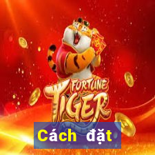 Cách đặt cược XSMN ngày 19