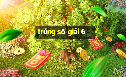 trúng số giải 6