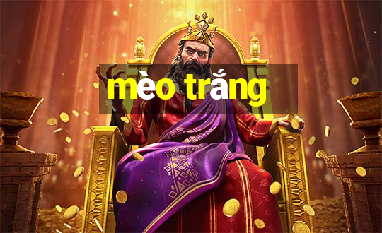 mèo trắng