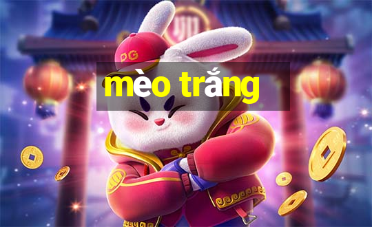 mèo trắng