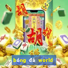 bóng đá world cup nữ