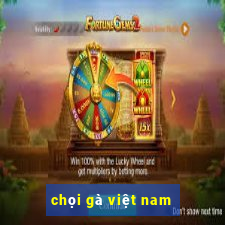 chọi gà việt nam