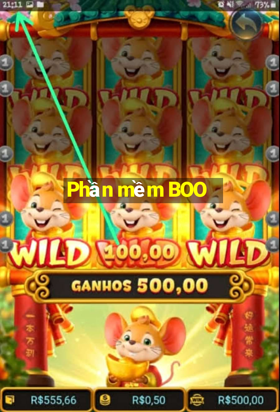 Phần mềm BOO