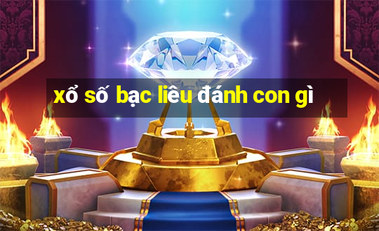 xổ số bạc liêu đánh con gì