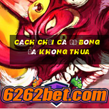 cách chơi cá độ bóng đá không thua