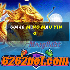 60448 Mạng màu Ying