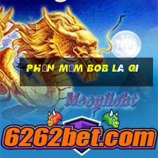 Phần mềm bob là gì