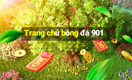 Trang chủ bóng đá 901