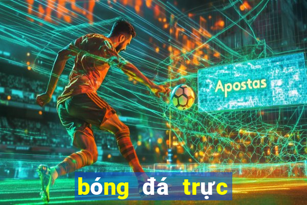 bóng đá trực tiếp bình luận tiếng việt