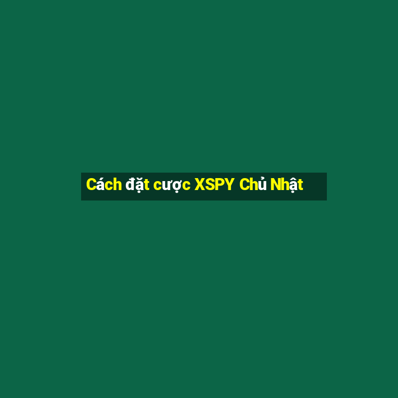 Cách đặt cược XSPY Chủ Nhật