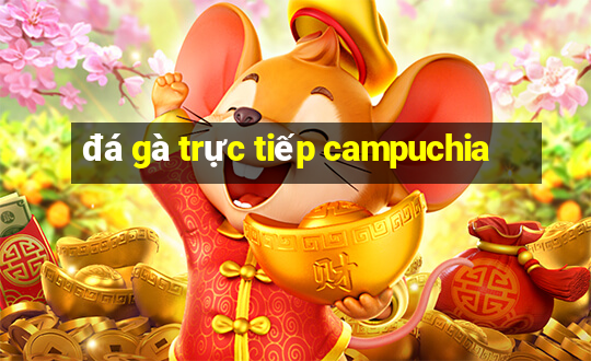 đá gà trực tiếp campuchia