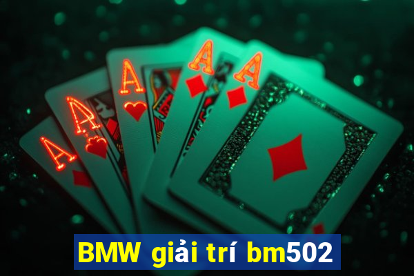 BMW giải trí bm502