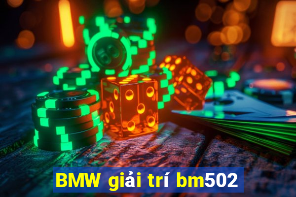 BMW giải trí bm502