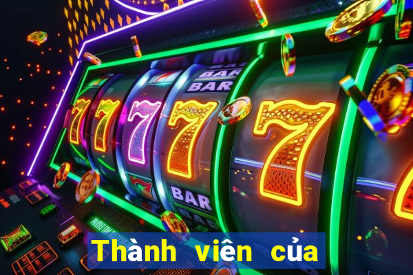 Thành viên của Yi Color