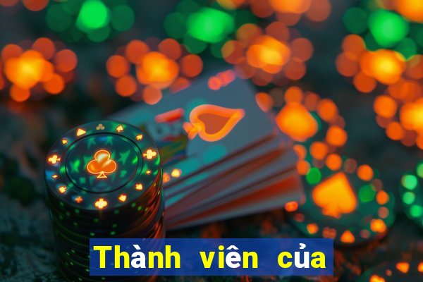 Thành viên của Yi Color