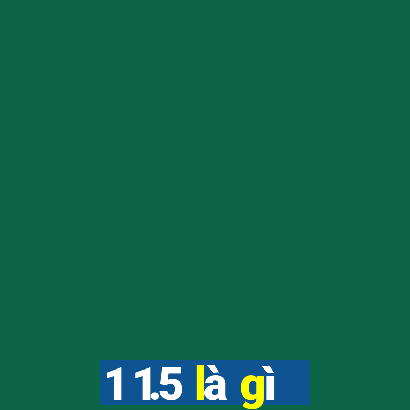 1 1.5 là gì